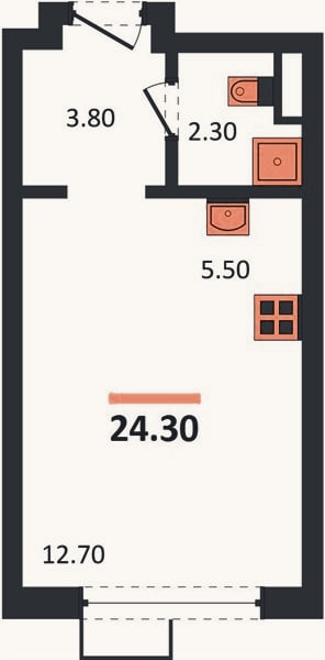 Планировка: Студия, 24,3 м²