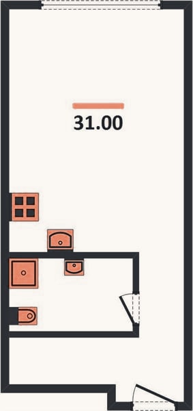 Планировка: Студия, 31 м²