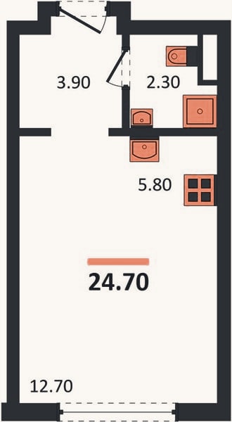 Планировка: Студия, 24,7 м²