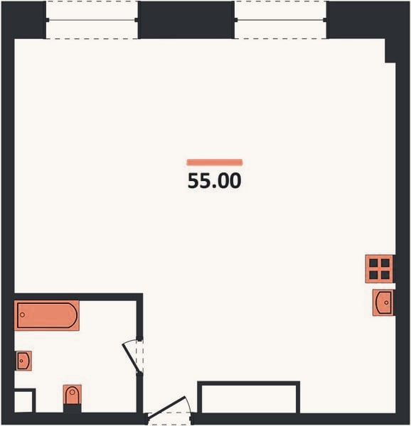 Планировка: 1-к, 55 м²