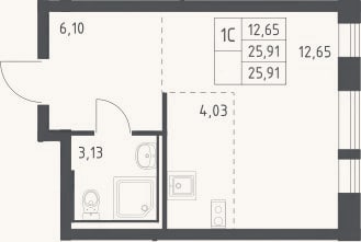 Планировка: Студия, 25,9 м²