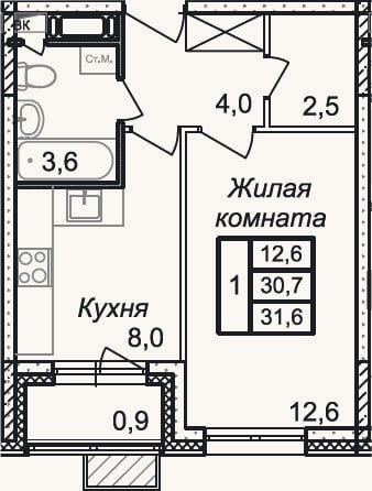 Планировка: 1-к, 30,7 м²