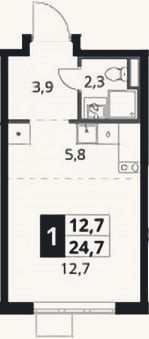 Планировка: Студия, 24,7 м²