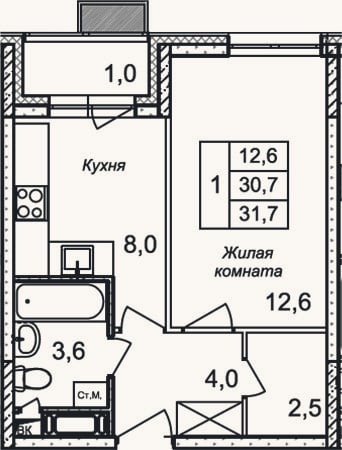 Планировка: 1-к, 30,7 м²