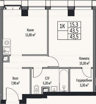 Планировка: 1-к, 43,5 м²