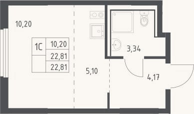 Планировка: Студия, 22,8 м²