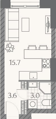 Планировка: Студия, 22,3 м²