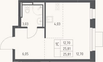 Планировка: Студия, 25,8 м²