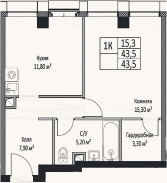 Планировка: 1-к, 43,5 м²
