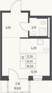 Планировка: Студия, 25,9 м²