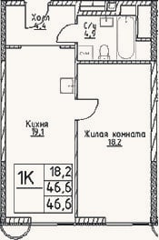 Планировка: 1-к, 46,6 м²