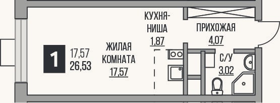 Планировка: Студия, 26,5 м²