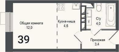 Планировка: Студия, 24 м²