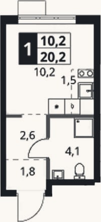 Планировка: Студия, 20,2 м²