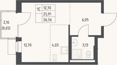 Планировка: Студия, 25,9 м²