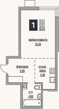 Планировка: Студия, 30,6 м²