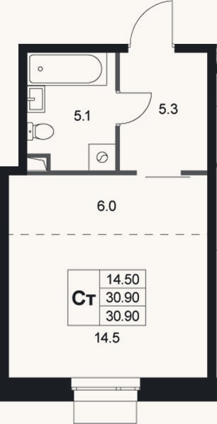 Планировка: Студия, 30,9 м²