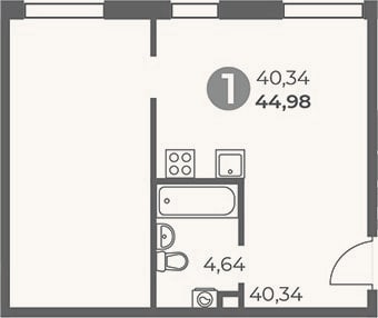 Планировка: Студия, 45 м²