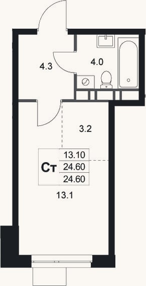Планировка: Студия, 24,6 м²