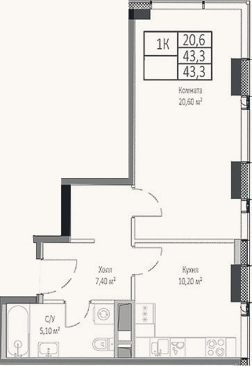 Планировка: 1-к, 43,3 м²