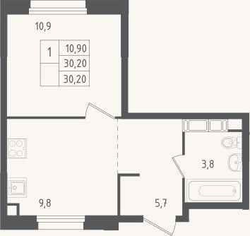 Планировка: 1-к, 30,2 м²