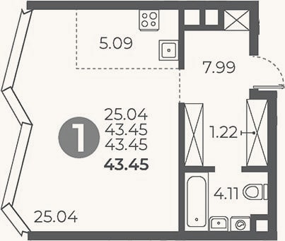 Планировка: Студия, 43,5 м²