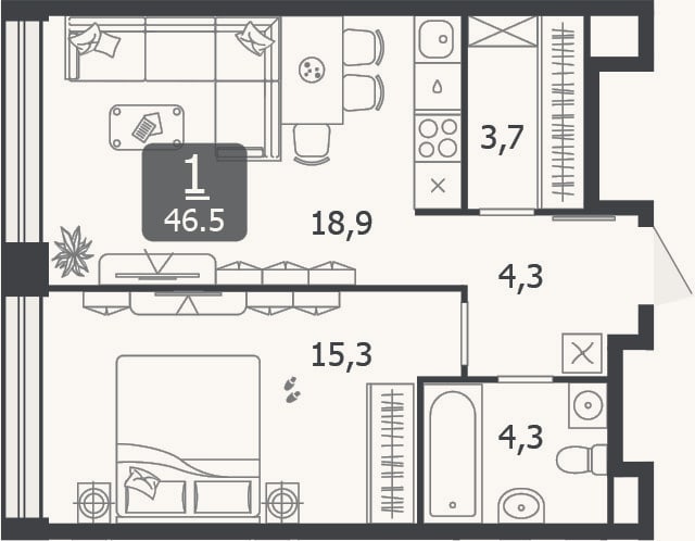 Планировка: 2-к, 46,5 м²