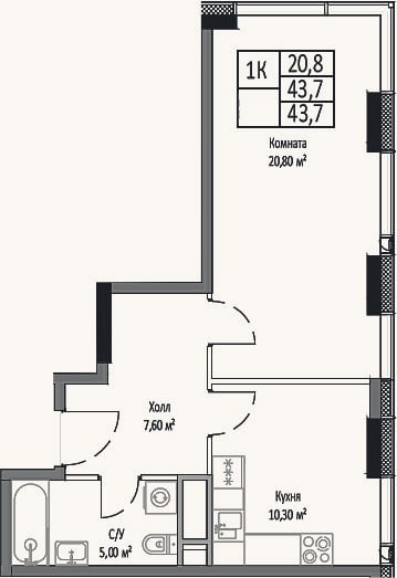 Планировка: 1-к, 43,7 м²