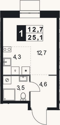 Планировка: Студия, 25,1 м²
