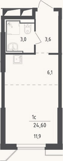 Планировка: Студия, 24,6 м²