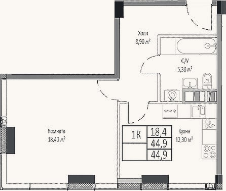 Планировка: 1-к, 44,9 м²