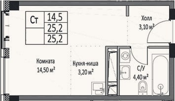 Планировка: Студия, 25,2 м²
