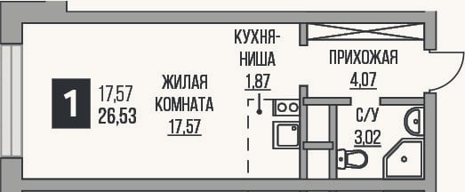 Планировка: Студия, 26,5 м²
