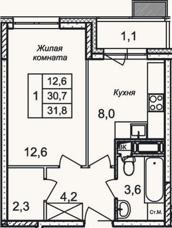 Планировка: 1-к, 30,7 м²