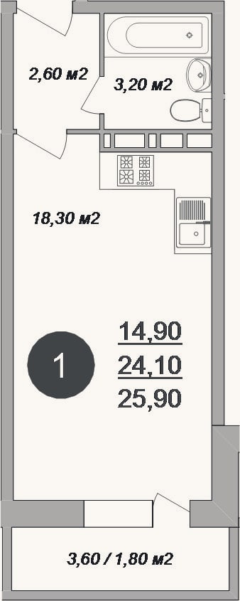 Планировка: Студия, 24,1 м²