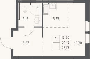 Планировка: Студия, 25,2 м²