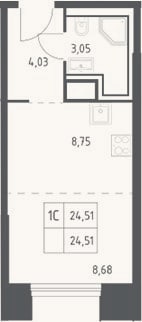 Планировка: Студия, 24,5 м²