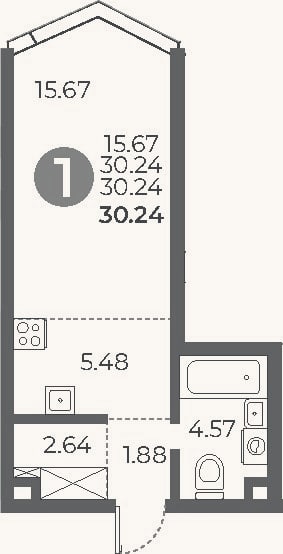 Планировка: Студия, 30,2 м²
