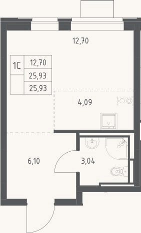 Планировка: Студия, 25,9 м²