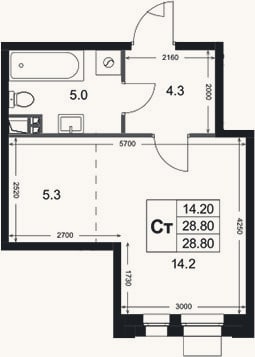 Планировка: Студия, 28,8 м²