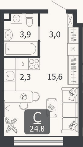 Планировка: Студия, 24,8 м²