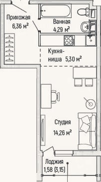 Планировка: Студия, 30,2 м²