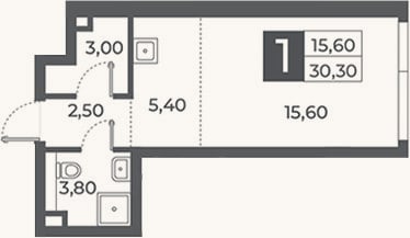 Планировка: Студия, 30,3 м²