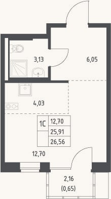 Планировка: Студия, 25,9 м²