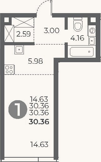 Планировка: Студия, 30,4 м²