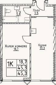 Планировка: 1-к, 45,3 м²