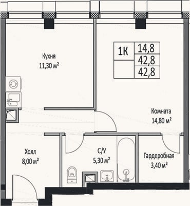 Планировка: 1-к, 42,8 м²