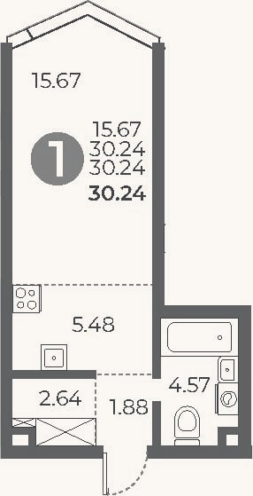 Планировка: Студия, 30,2 м²