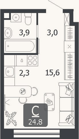 Планировка: Студия, 24,8 м²