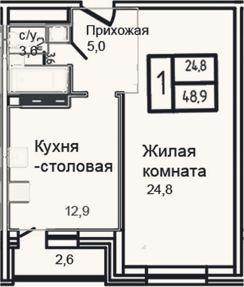 Планировка: 1-к, 46,3 м²